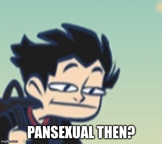 -_- face | PANSEXUAL THEN? | image tagged in -_- face | made w/ Imgflip meme maker