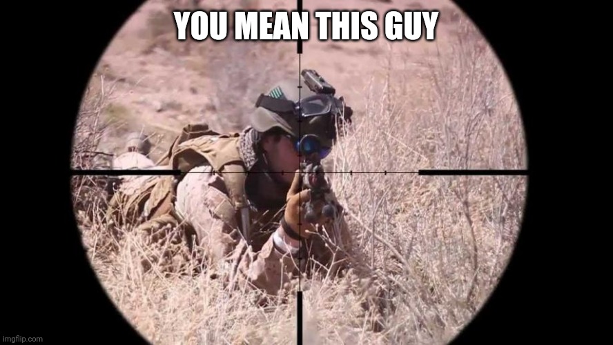 YOU MEAN THIS GUY | image tagged in counter sniper | made w/ Imgflip meme maker