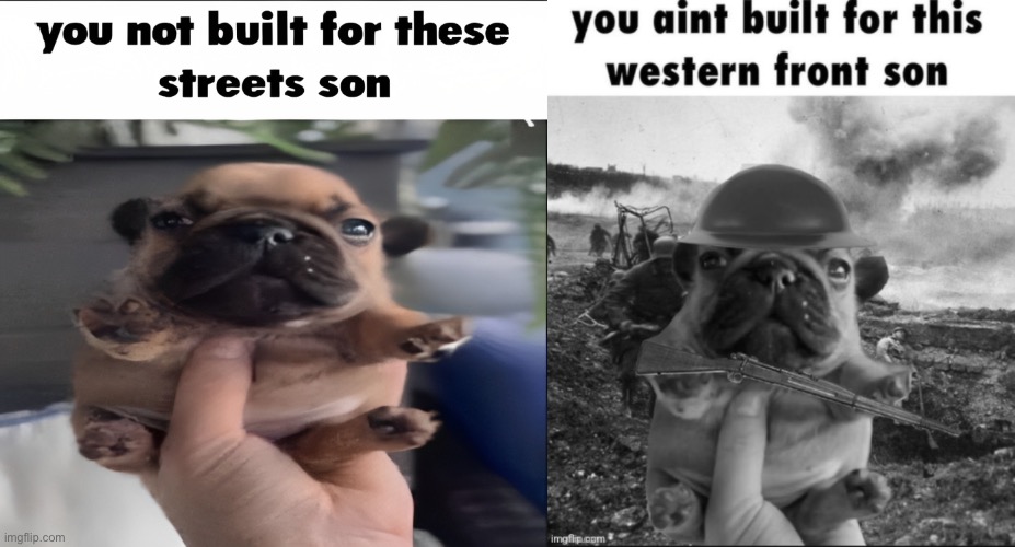 the gang | image tagged in you not built for these streets son v2 | made w/ Imgflip meme maker