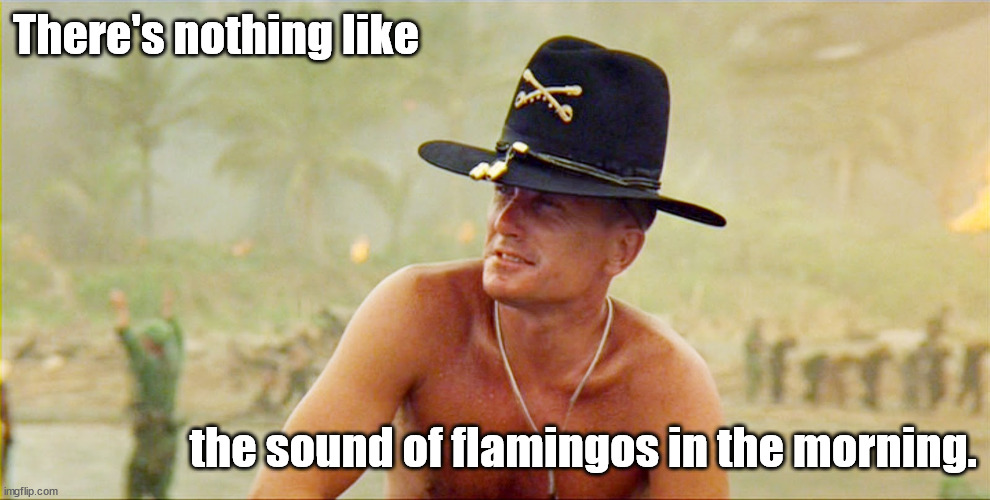 Flamingos in the morning | There's nothing like; the sound of flamingos in the morning. | image tagged in duvall,flamingos | made w/ Imgflip meme maker