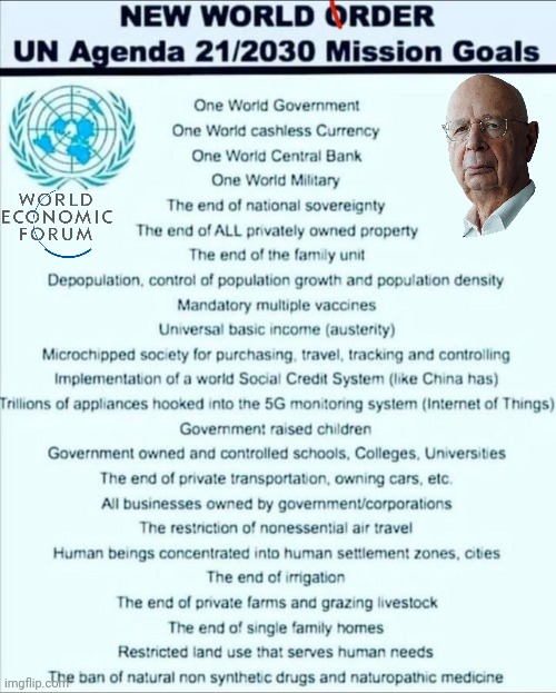 NWO /WEF agenda | image tagged in nwo,police state | made w/ Imgflip meme maker