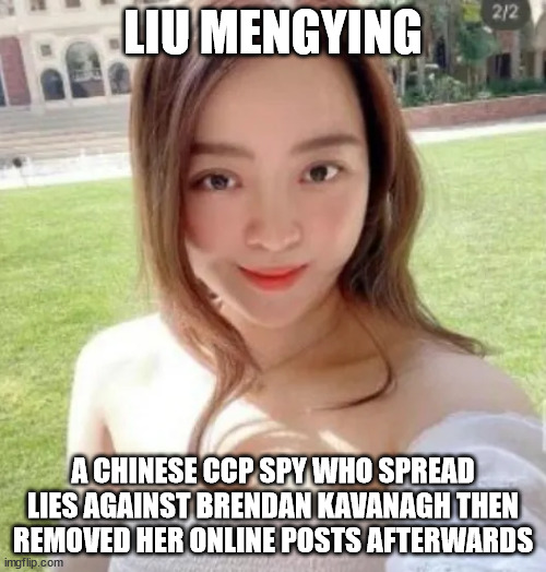 Liu Mengying a Chinese CCP Spy who spread lies against Brendan Kavanagh then removed her online posts afterwards | LIU MENGYING; A CHINESE CCP SPY WHO SPREAD LIES AGAINST BRENDAN KAVANAGH THEN REMOVED HER ONLINE POSTS AFTERWARDS | image tagged in liu mengying,chinese spy,ccp spy,brendan kavanagh,pianogate | made w/ Imgflip meme maker