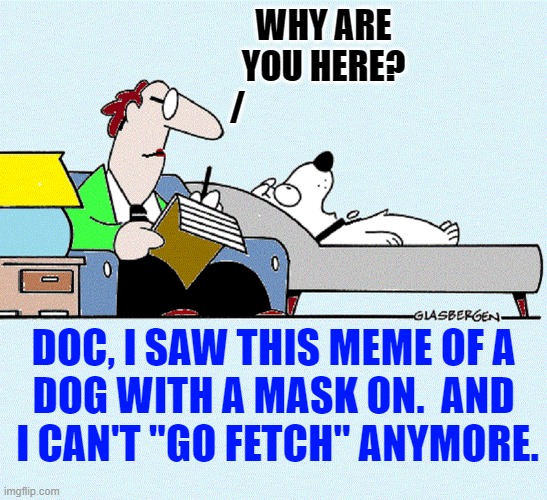 WHY ARE
YOU HERE?
/ DOC, I SAW THIS MEME OF A 
DOG WITH A MASK ON.  AND 
I CAN'T "GO FETCH" ANYMORE. | made w/ Imgflip meme maker