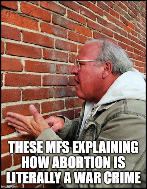 like talking to a brick wall 2 | THESE MFS EXPLAINING HOW ABORTION IS LITERALLY A WAR CRIME | image tagged in like talking to a brick wall 2 | made w/ Imgflip meme maker