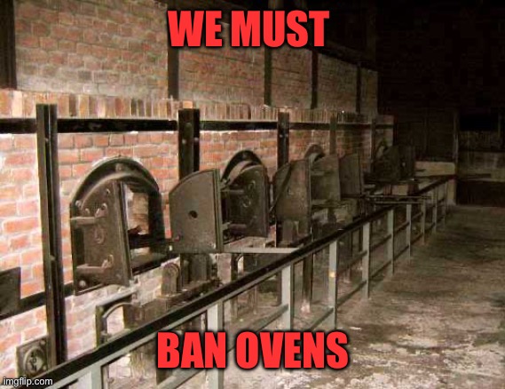 holocaust ovens | WE MUST BAN OVENS | image tagged in holocaust ovens | made w/ Imgflip meme maker