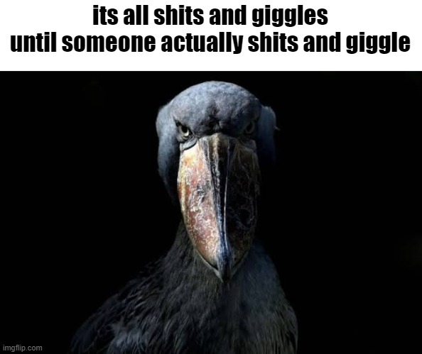 giggle and shits | its all shits and giggles until someone actually shits and giggle | image tagged in the w,memes,ufunny | made w/ Imgflip meme maker