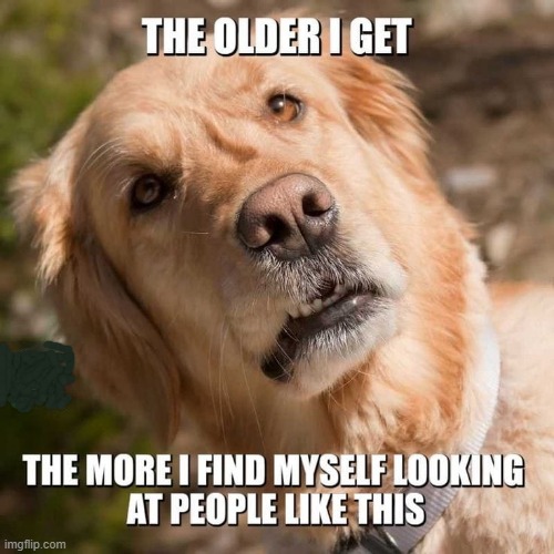 Older and Wiser ! | image tagged in clever | made w/ Imgflip meme maker