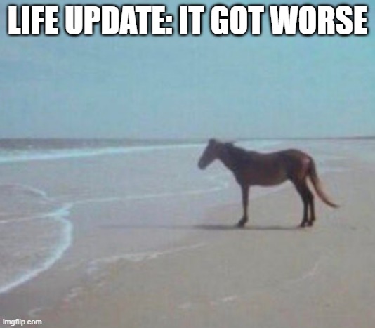 it got worse | LIFE UPDATE: IT GOT WORSE | image tagged in man horse water | made w/ Imgflip meme maker