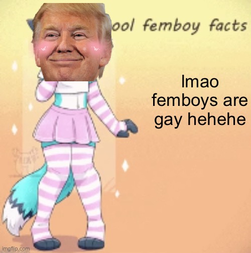 facts | lmao femboys are gay hehehe | image tagged in cool femboy facts | made w/ Imgflip meme maker