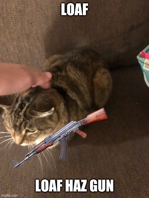 LOAF; LOAF HAZ GUN | image tagged in memes | made w/ Imgflip meme maker