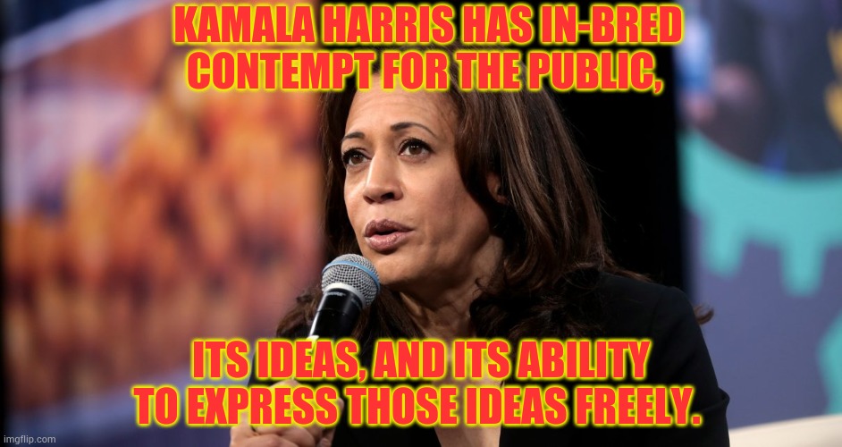 Might This Be Part Of The Problem? | KAMALA HARRIS HAS IN-BRED CONTEMPT FOR THE PUBLIC, ITS IDEAS, AND ITS ABILITY TO EXPRESS THOSE IDEAS FREELY. | image tagged in memes,politics,kamala harris,public,free speech,hatred | made w/ Imgflip meme maker