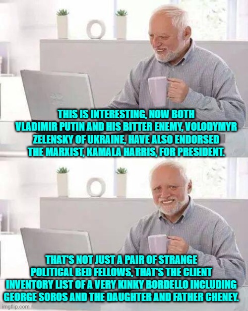 It's like the KKK mated with the Mafia. | THIS IS INTERESTING, NOW BOTH VLADIMIR PUTIN AND HIS BITTER ENEMY, VOLODYMYR ZELENSKY OF UKRAINE, HAVE ALSO ENDORSED THE MARXIST, KAMALA HARRIS, FOR PRESIDENT. THAT'S NOT JUST A PAIR OF STRANGE POLITICAL BED FELLOWS, THAT'S THE CLIENT INVENTORY LIST OF A VERY KINKY BORDELLO INCLUDING GEORGE SOROS AND THE DAUGHTER AND FATHER CHENEY. | image tagged in hide the pain harold | made w/ Imgflip meme maker