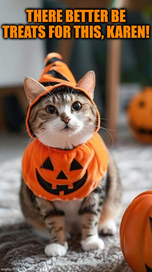 Pumpkat Cuteness | THERE BETTER BE TREATS FOR THIS, KAREN! | image tagged in cats,halloween costume,funny cats,halloween,memes | made w/ Imgflip meme maker