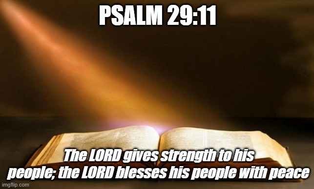 Bible  | PSALM 29:11; The LORD gives strength to his people; the LORD blesses his people with peace | image tagged in bible | made w/ Imgflip meme maker