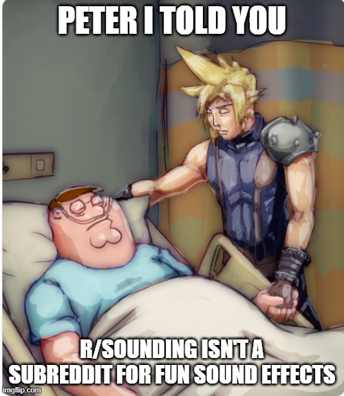 PETER I TOLD YOU | PETER I TOLD YOU; R/SOUNDING ISN'T A SUBREDDIT FOR FUN SOUND EFFECTS | image tagged in peter i told you | made w/ Imgflip meme maker