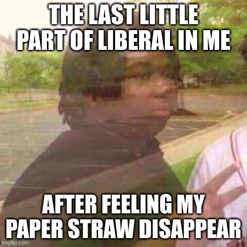 FRFRFR | THE LAST LITTLE PART OF LIBERAL IN ME; AFTER FEELING MY PAPER STRAW DISAPPEAR | image tagged in guy fades away,donald trump,memes | made w/ Imgflip meme maker