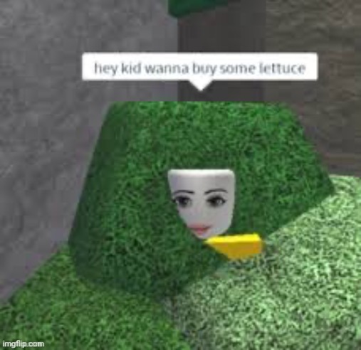 I like 5 pounds of lettuce and some "special ones" | image tagged in hey kid wanna buy some lettuce,memes,roblox meme,roblox | made w/ Imgflip meme maker