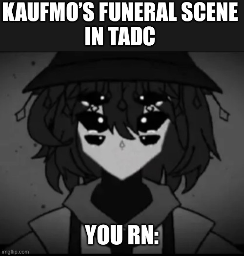 kaufmo’s funeral scene be like | KAUFMO’S FUNERAL SCENE
IN TADC; YOU RN: | image tagged in sad desby,tadc,sad | made w/ Imgflip meme maker