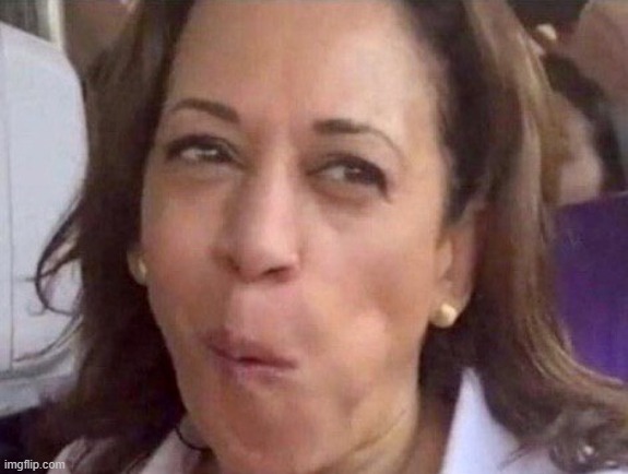 Kamala Harris | image tagged in kamala harris | made w/ Imgflip meme maker