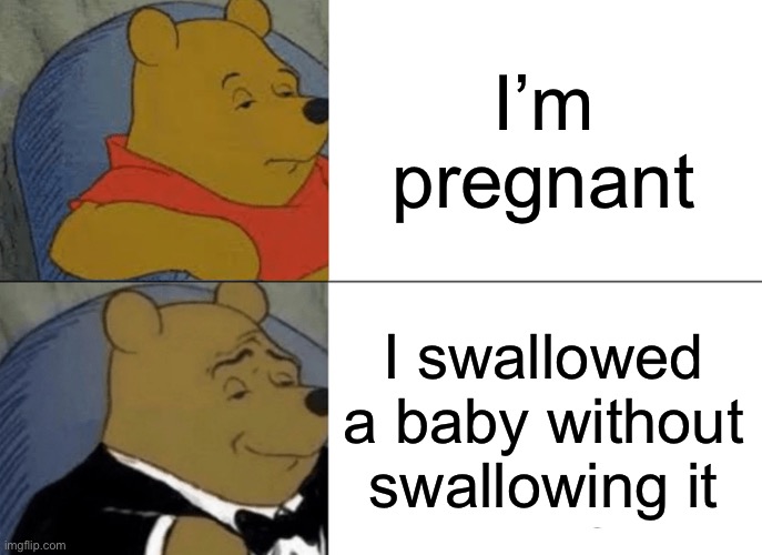 memes 2 | I’m pregnant; I swallowed a baby without swallowing it | image tagged in memes,tuxedo winnie the pooh | made w/ Imgflip meme maker