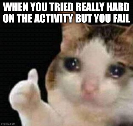 memes 4 | WHEN YOU TRIED REALLY HARD ON THE ACTIVITY BUT YOU FAIL | image tagged in sad thumbs up cat | made w/ Imgflip meme maker