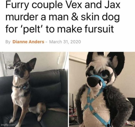 ‎ | image tagged in image tags | made w/ Imgflip meme maker