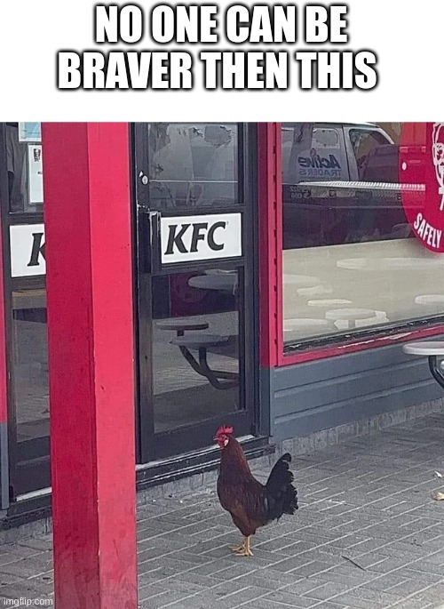 he is going to his family's cemetery | NO ONE CAN BE BRAVER THEN THIS | image tagged in kfc,chicken,funny,fun | made w/ Imgflip meme maker