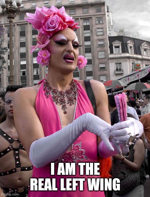 tranny | I AM THE REAL LEFT WING | image tagged in tranny | made w/ Imgflip meme maker