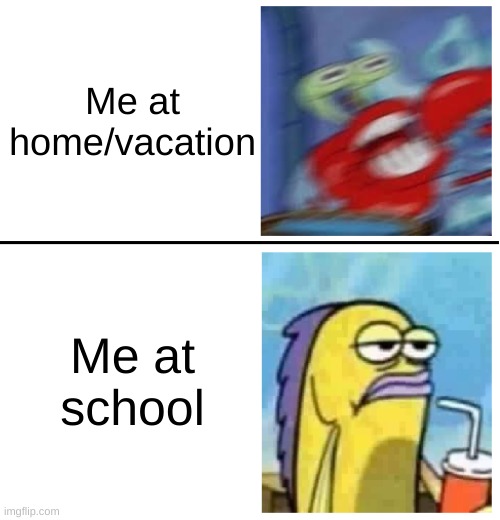 Excited vs Bored | Me at home/vacation; Me at school | image tagged in excited vs bored | made w/ Imgflip meme maker