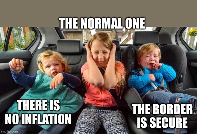 Help | THE NORMAL ONE; THE BORDER IS SECURE; THERE IS NO INFLATION | image tagged in stuck in the middle | made w/ Imgflip meme maker