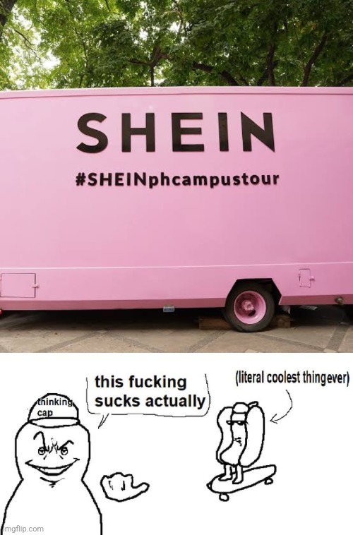 Note: I fully condemn Shein's treatment of their laborers in their company (p.s. Shein sucks balls) | image tagged in this sucks actually,shein,funny,terrible,philippines | made w/ Imgflip meme maker