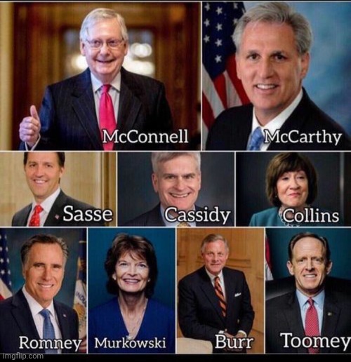 Rinos Fake Republicans | image tagged in rinos fake republicans | made w/ Imgflip meme maker