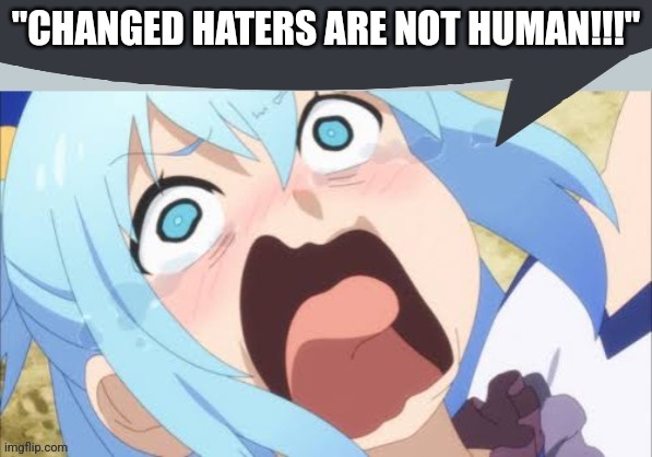 Aqua says | "CHANGED HATERS ARE NOT HUMAN!!!" | image tagged in aqua says | made w/ Imgflip meme maker