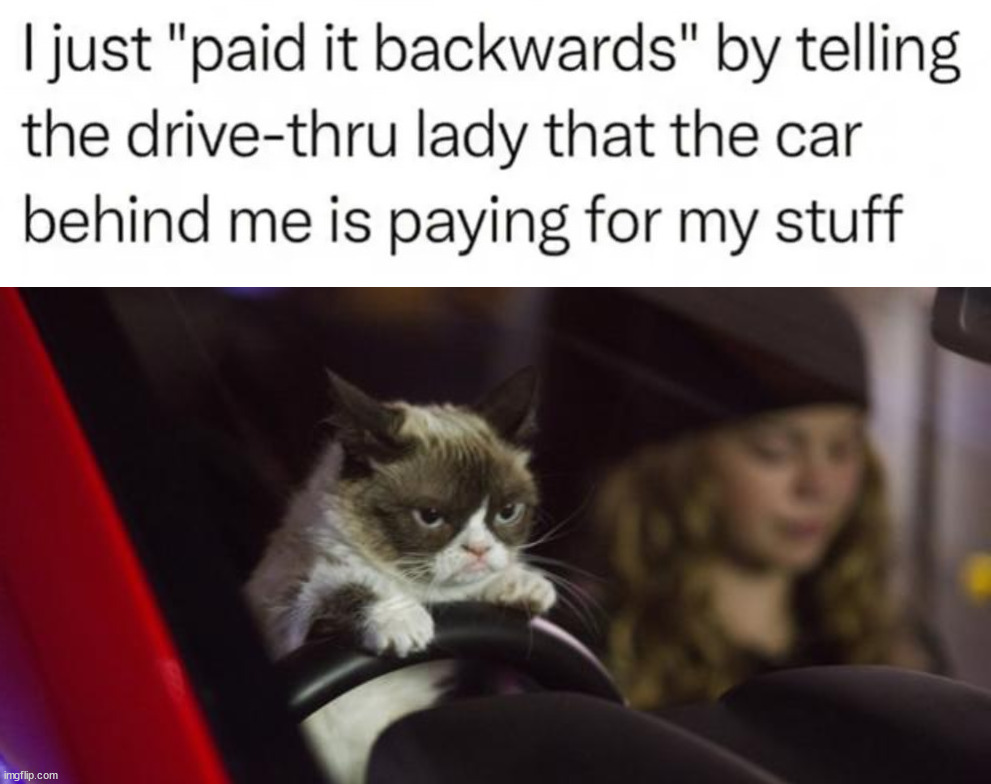 Great idea for free food | image tagged in grumpy cat driving,fast food | made w/ Imgflip meme maker