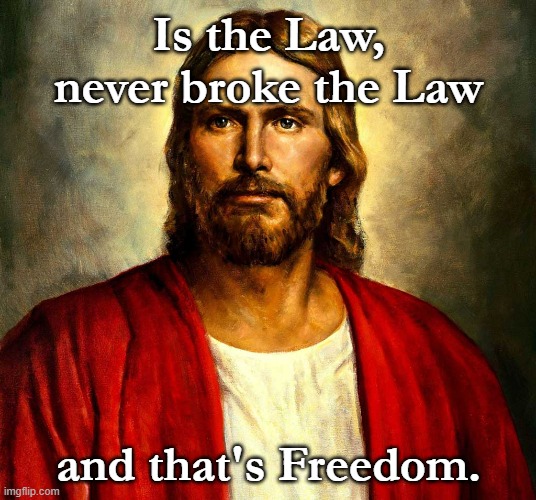 Jesus christ | Is the Law, never broke the Law and that's Freedom. | image tagged in jesus christ | made w/ Imgflip meme maker