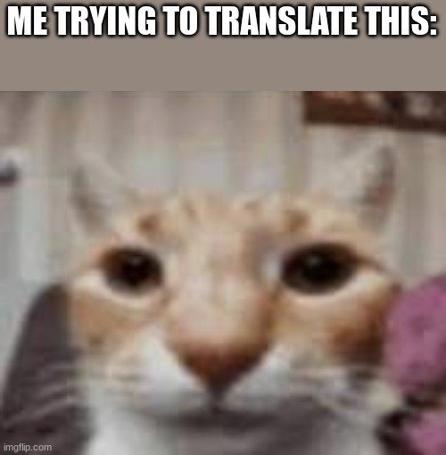 :| | ME TRYING TO TRANSLATE THIS: | made w/ Imgflip meme maker
