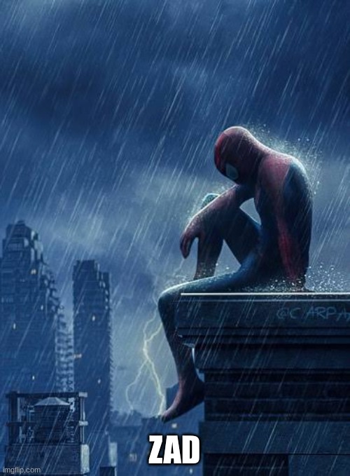 Sad Spiderman | ZAD | image tagged in sad spiderman | made w/ Imgflip meme maker