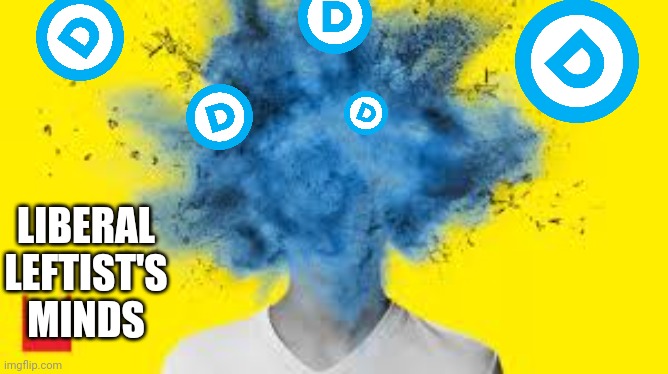 head explodes | LIBERAL LEFTIST'S MINDS | image tagged in head explodes | made w/ Imgflip meme maker