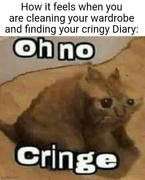 Death from cringe mid-work | How it feels when you are cleaning your wardrobe and finding your cringy Diary: | image tagged in oh no cringe,diary,cringe,past,childhood | made w/ Imgflip meme maker