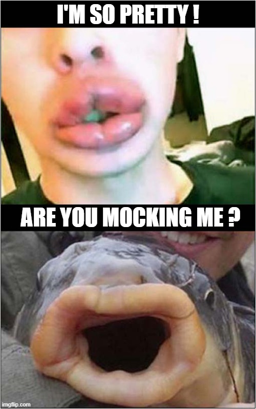 Fishy Lips ! | I'M SO PRETTY ! ARE YOU MOCKING ME ? | image tagged in lips,botox,fish,mocking,dark humour | made w/ Imgflip meme maker