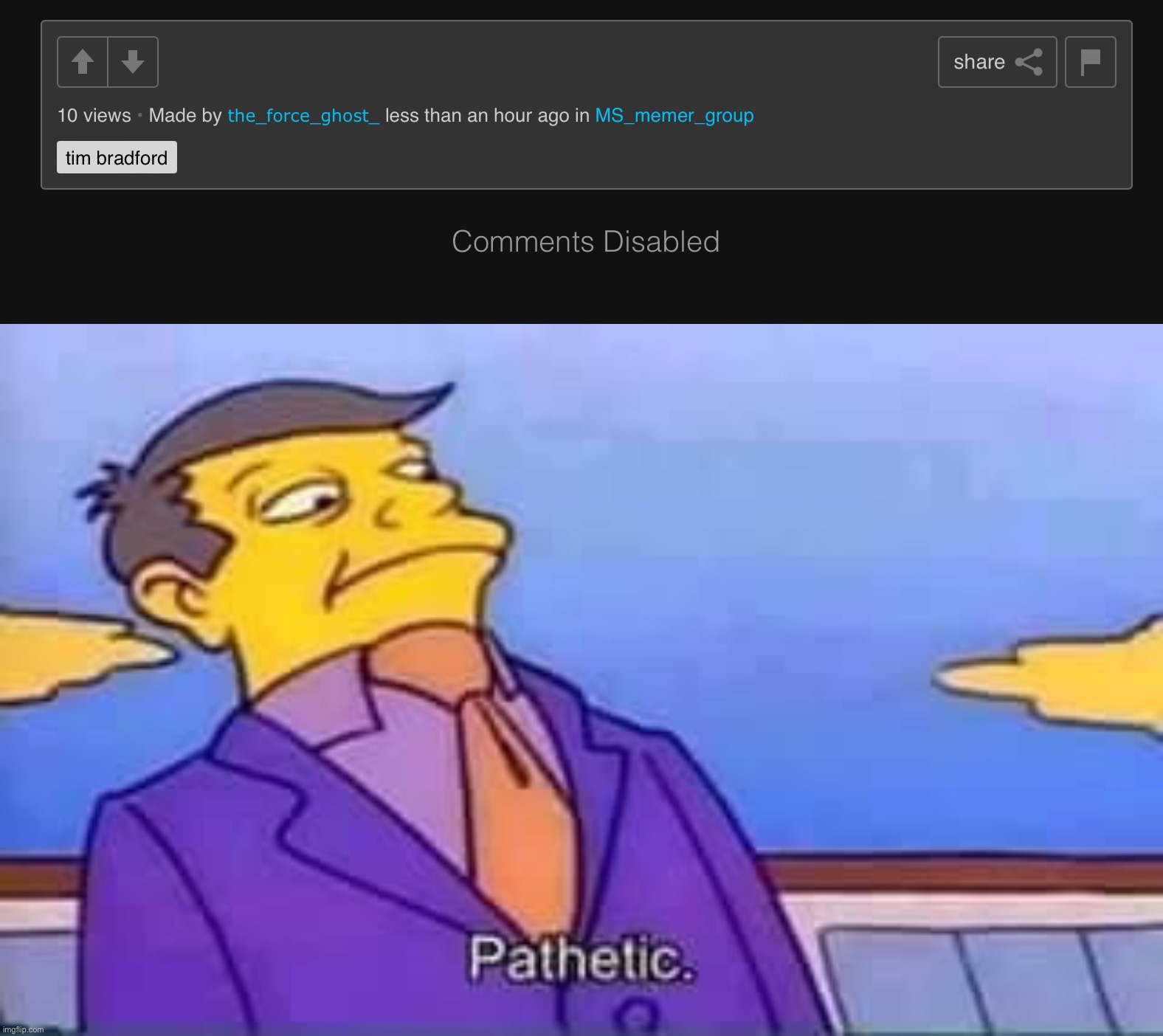 Imagine disabling comments because you are losing an argument | image tagged in skinner pathetic | made w/ Imgflip meme maker