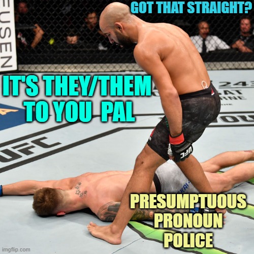 K.O. Knock out | IT'S THEY/THEM 
TO YOU  PAL GOT THAT STRAIGHT? PRESUMPTUOUS
PRONOUN
POLICE | image tagged in k o knock out | made w/ Imgflip meme maker