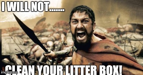 Sparta Leonidas Meme | I WILL NOT....... CLEAN YOUR LITTER BOX! | image tagged in memes,sparta leonidas | made w/ Imgflip meme maker