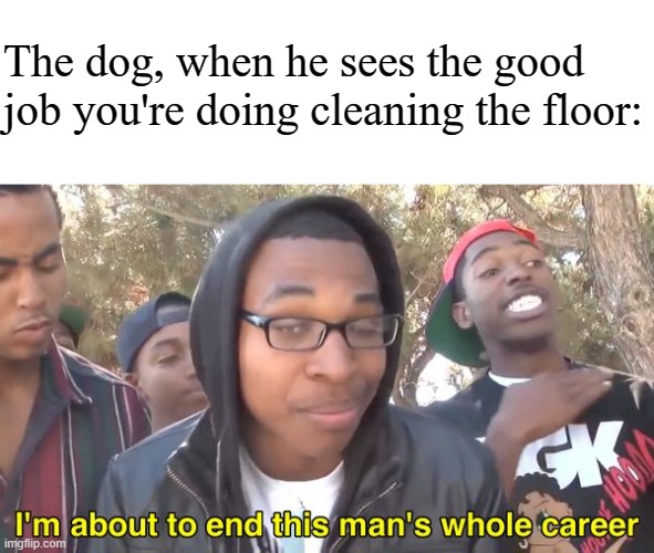 I'm About to End This Man's Whole Career | The dog, when he sees the good job you're doing cleaning the floor: | image tagged in i'm about to end this man's whole career | made w/ Imgflip meme maker