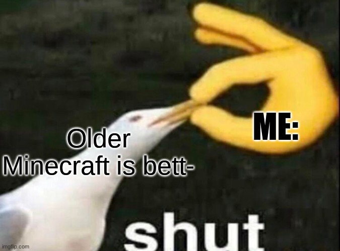 Does this really need a title | ME:; Older Minecraft is bett- | image tagged in shut | made w/ Imgflip meme maker