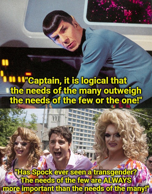 Clearly, no modern liberal has watched Star Trek? | "Captain, it is logical that the needs of the many outweigh the needs of the few or the one!"; "Has Spock ever seen a transgender? The needs of the few are ALWAYS more important than the needs of the many!" | image tagged in trudeau with trannies,mr spock,star trek,liberal logic,liberal hypocrisy,when you realize | made w/ Imgflip meme maker