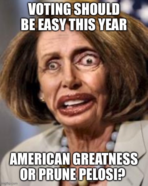 Simple voting decision | VOTING SHOULD BE EASY THIS YEAR; AMERICAN GREATNESS OR PRUNE PELOSI? | image tagged in pelosi dead,voting,liberal,insanity,american,greatness | made w/ Imgflip meme maker