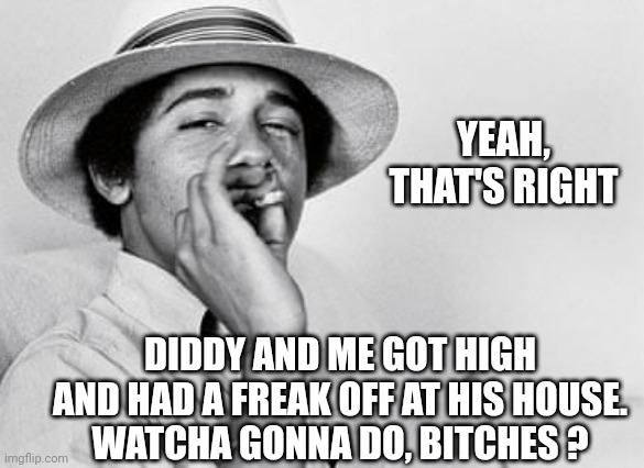 Dems ignore their past | YEAH,
THAT'S RIGHT; DIDDY AND ME GOT HIGH AND HAD A FREAK OFF AT HIS HOUSE.
WATCHA GONNA DO, BITCHES ? | image tagged in leftists,liberals,diddy,democrats | made w/ Imgflip meme maker