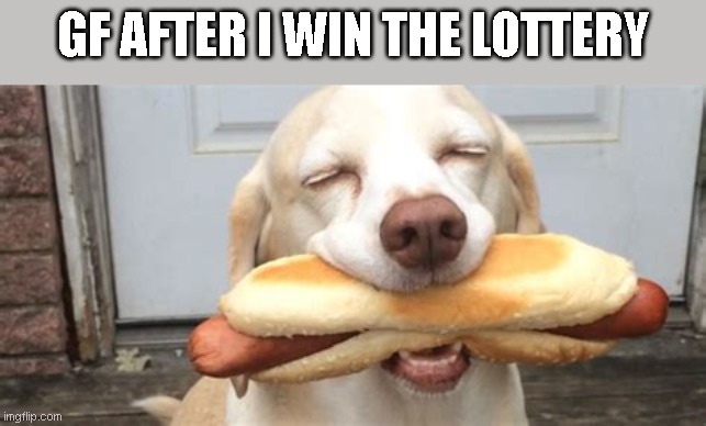 Satisfaction dog | GF AFTER I WIN THE LOTTERY | image tagged in satisfaction dog | made w/ Imgflip meme maker