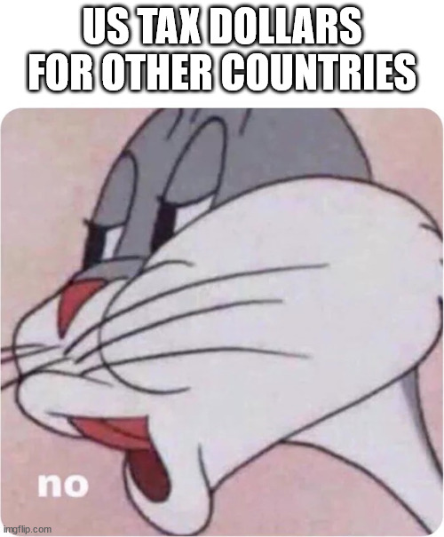 US Taxes for Other Countries | US TAX DOLLARS FOR OTHER COUNTRIES | image tagged in bugs bunny no | made w/ Imgflip meme maker